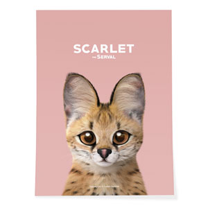 Scarlet the Serval Art Poster