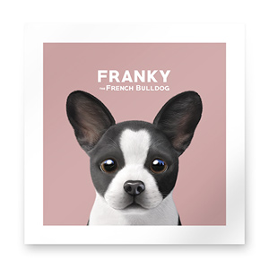 Franky the French Bulldog Art Print