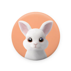 Carrot the Rabbit Mirror Button
