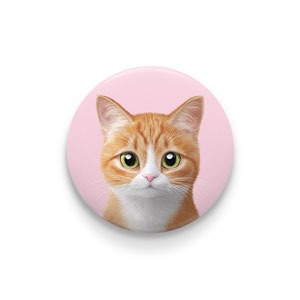 Hobak the Cheese Tabby Pin/Magnet Button