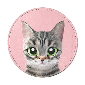 Momo the American shorthair cat Leather Coaster