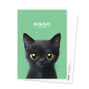 Bingo the Kitten Postcard