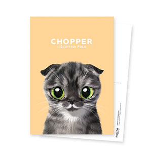 Chopper Postcard