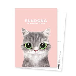 Eundong Postcard