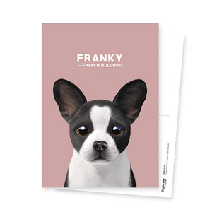 Franky the French Bulldog Postcard