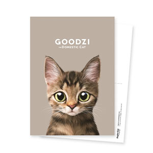 Goodzi Postcard