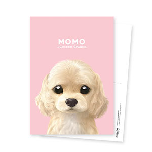 Momo the Cocker Spaniel Postcard