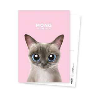 Mong the Siamese Postcard