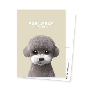 Earlgray the Poodle Postcard