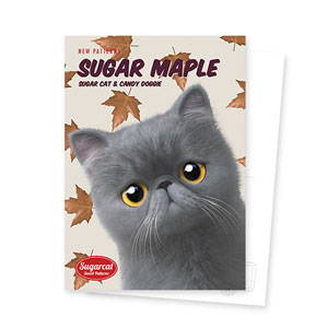 Maron’s Sugar Maple New Patterns Postcard