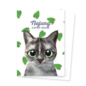 Najung’s Catnip Postcard