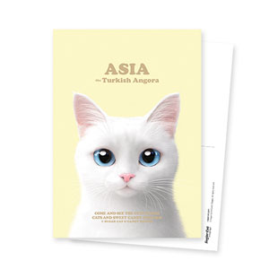 Asia Retro Postcard