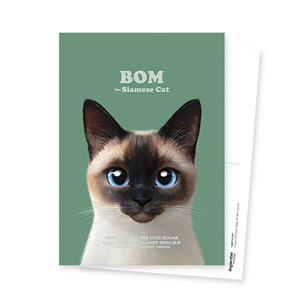Bom the Siamese Retro Postcard
