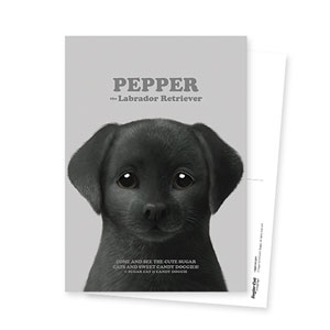 Pepper the Labrador Retriever Retro Postcard
