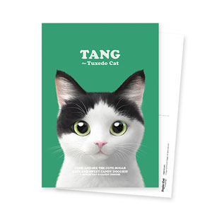 Tang Retro Postcard