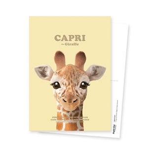 Capri the Giraffe Retro Postcard