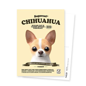 Yebin the Chihuahua New Retro Postcard