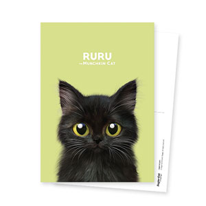 Ruru the Kitten Postcard