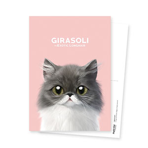 Girasoli Postcard