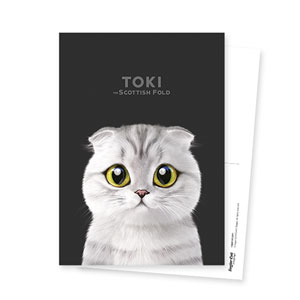 Toki Postcard