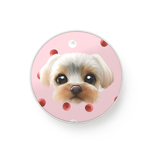 Sarang the Yorkshire Terrier’s Strawberry &amp; Cream Face Smart Tok