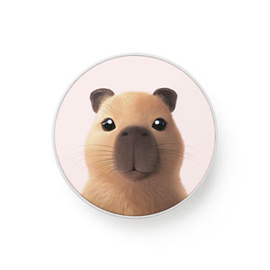 Capybara the Capy Smart Tok