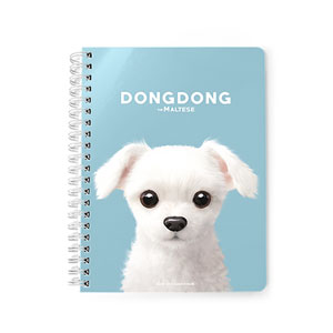 DongDong Spring Note
