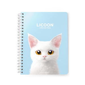 Licoon Spring Note