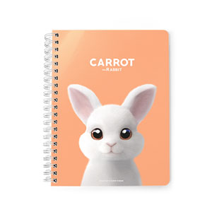 Carrot the Rabbit Spring Note