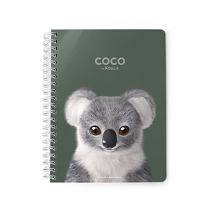 Coco the Koala Spring Note