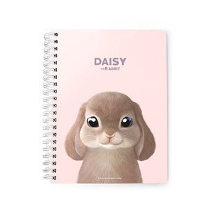 Daisy the Rabbit Spring Note