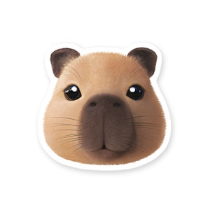 Capybara the Capy Face Deco Sticker