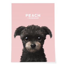 Peach the Schnauzer Art Poster