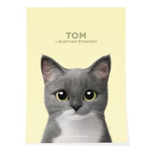 Tom Art Poster