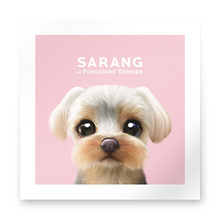 Sarang the Yorkshire Terrier Art Print