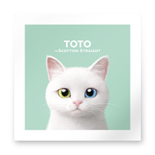 Toto the Scottish Straight Art Print