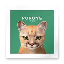 Porong the Puma Art Print