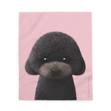 Choco the Black Poodle Cleaner
