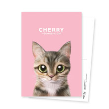 Cherry Postcard