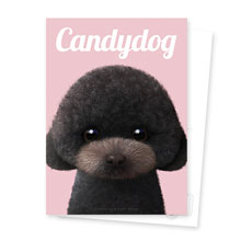 Choco the Black Poodle Magazine Postcard