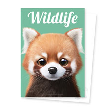 Radi the Lesser Panda Magazine Postcard