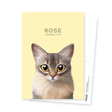 Rose Postcard