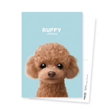 Ruffy the Poodle Postcard