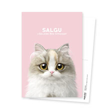 Salgu the Selkirk Rex Postcard