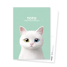 Toto the Scottish Straight Postcard