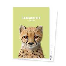 Samantha the Cheetah Postcard