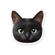 Zoro the Black Cat Face Deco Sticker