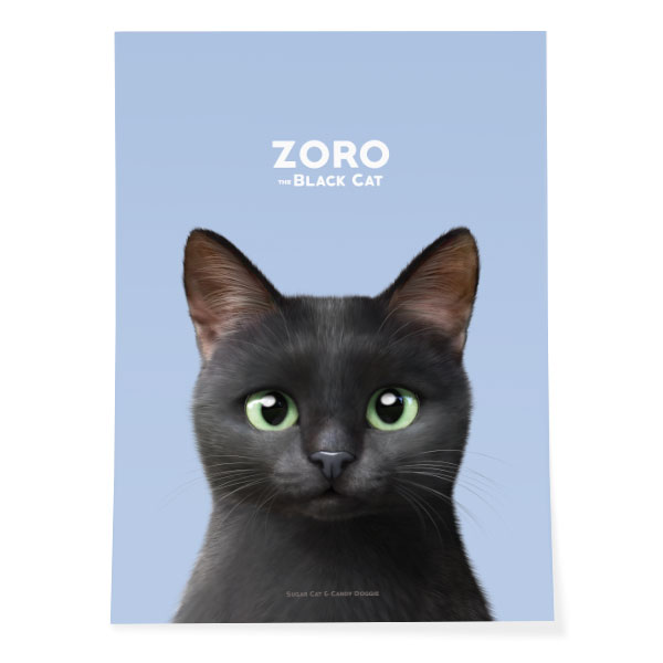 Zoro the Black Cat Art Poster