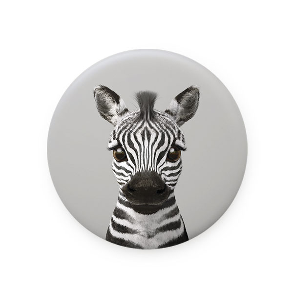 Zebra the Plains Zebra Mirror Button