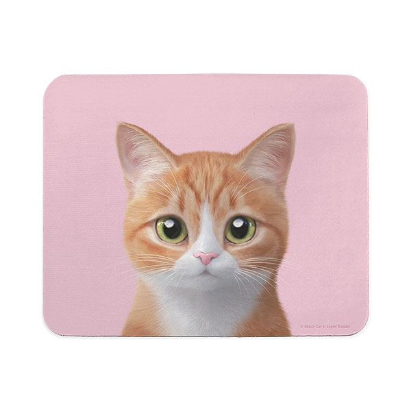 Hobak the Cheese Tabby Mouse Pad